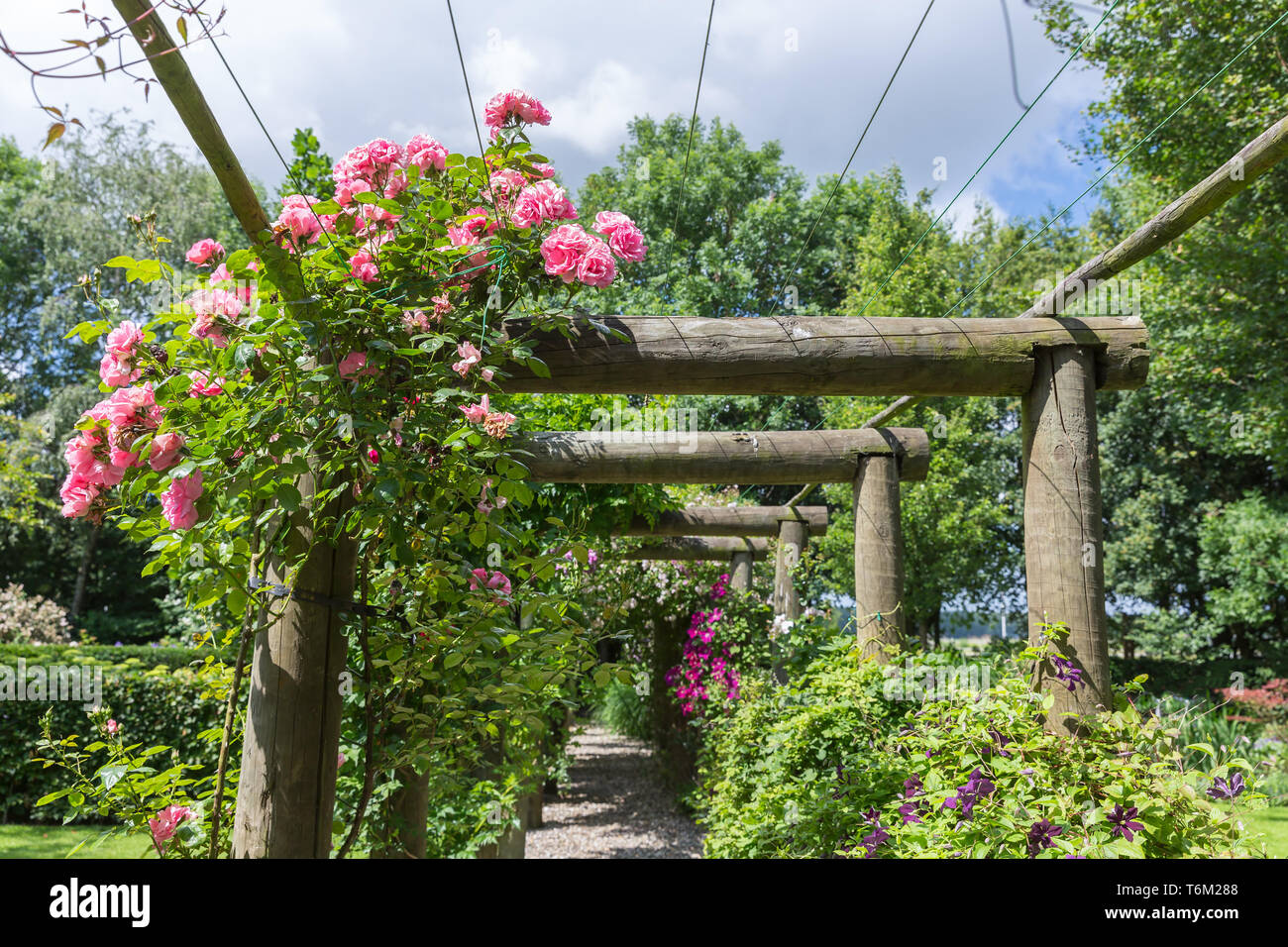 Jardin d'ornement avec pergola et Rosa Banque D'Images