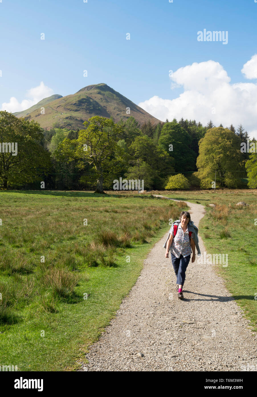 Femme plus âgée à pied de Hawse Fin de Portinscale avec Cat Bells en arrière-plan, Cumbria, England, UK Banque D'Images