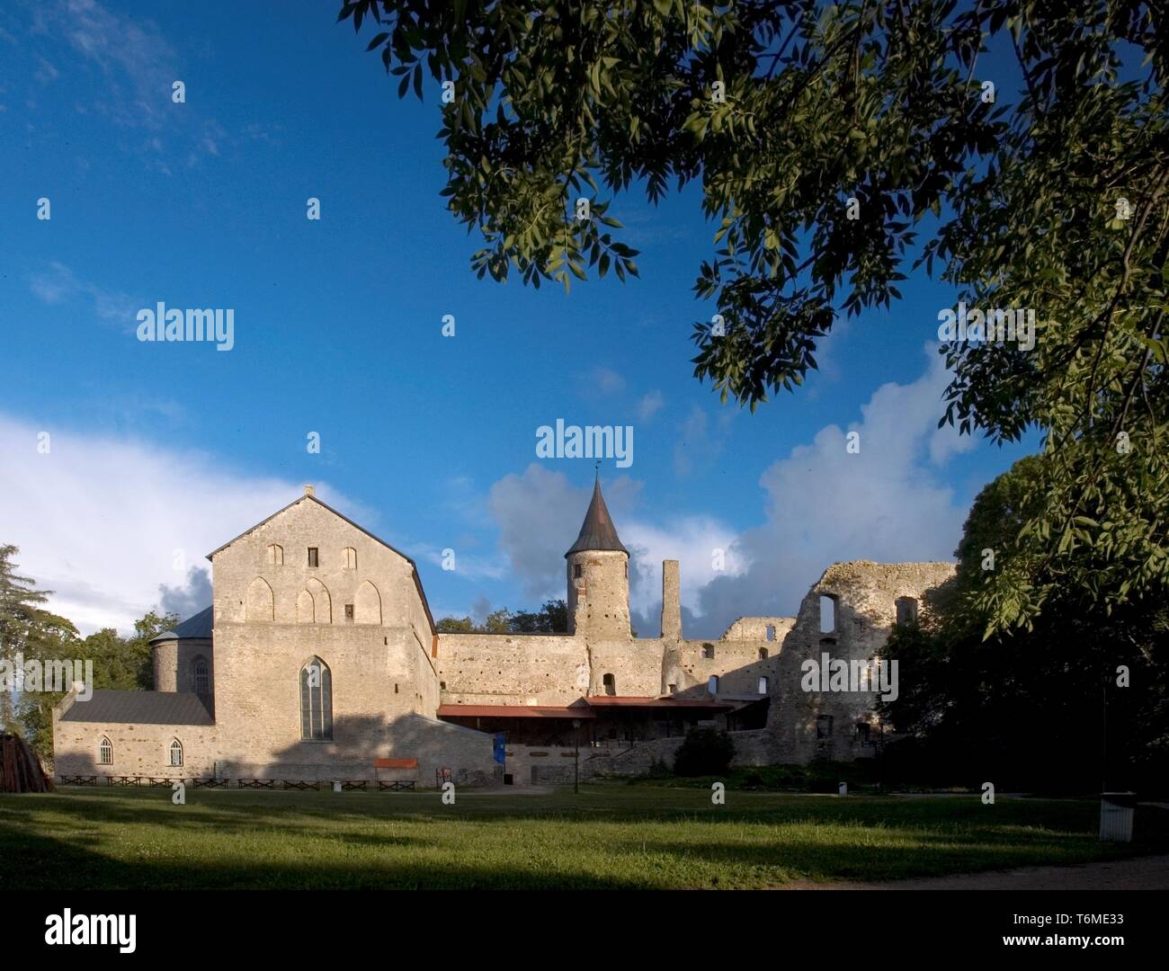 Ruines du château de Haapsalu Banque D'Images