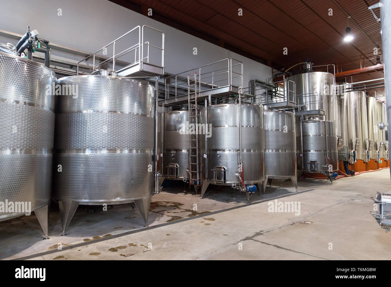 Italie TOSCANA barriques de vinification Banque D'Images