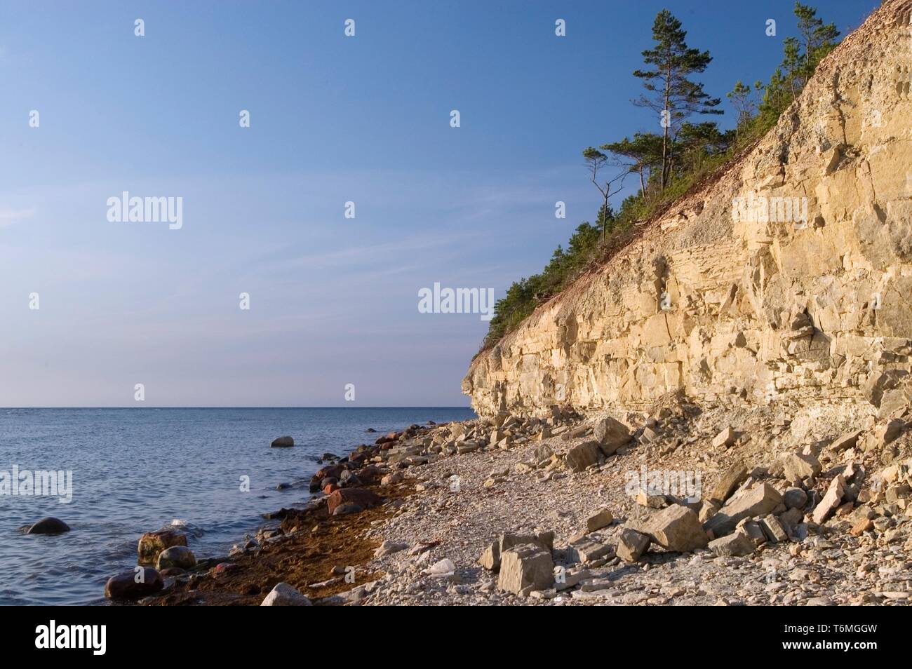 Panga Coast à Saaremaa Banque D'Images