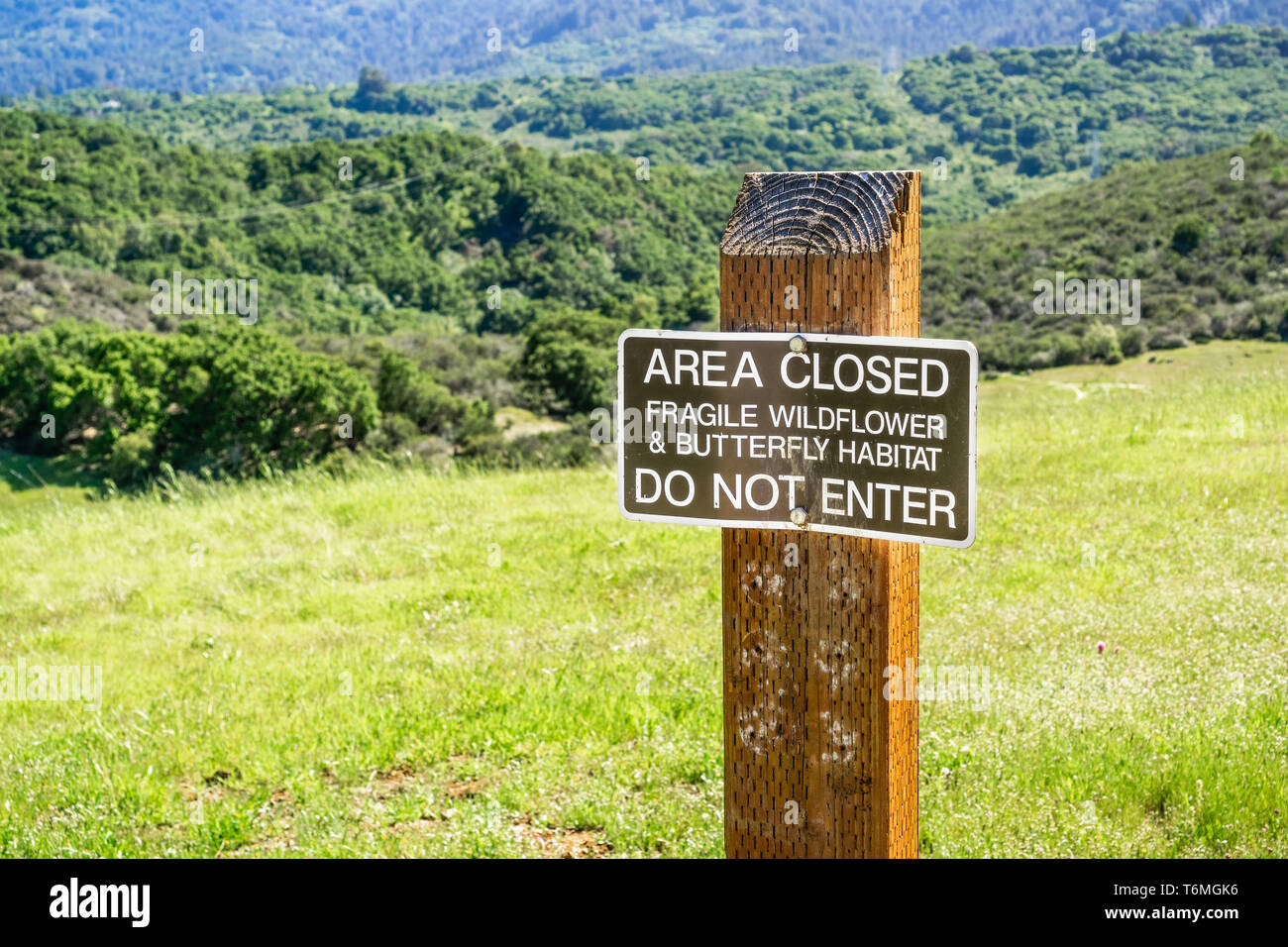 "Espace fermé Wildflower Fragile & Butterfly Habitat ; n'entrez pas" affiché sur les collines de San Francisco Bay area dans un parc du comté, en Californie Banque D'Images