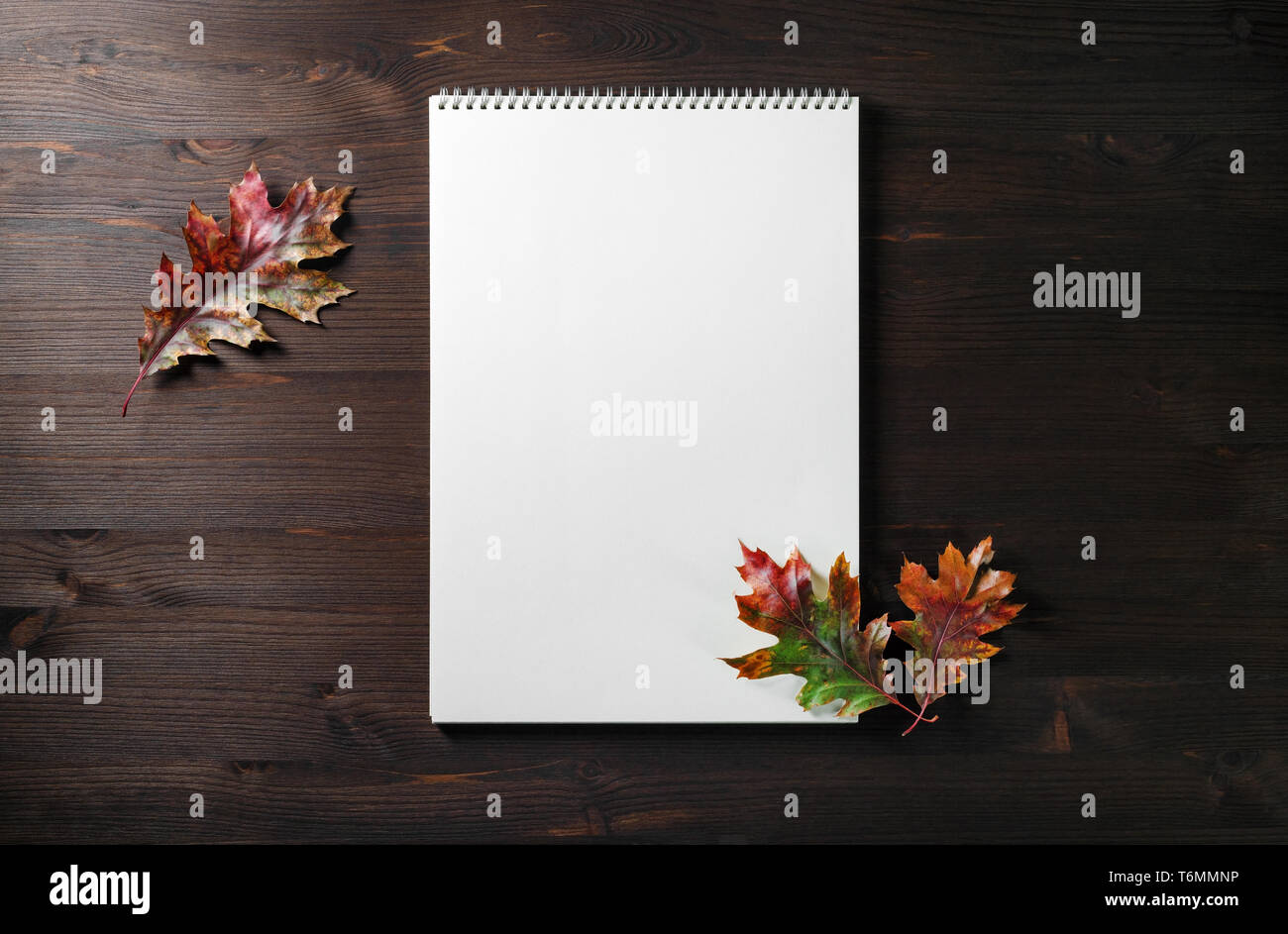 Sketchbook et laisse Banque D'Images