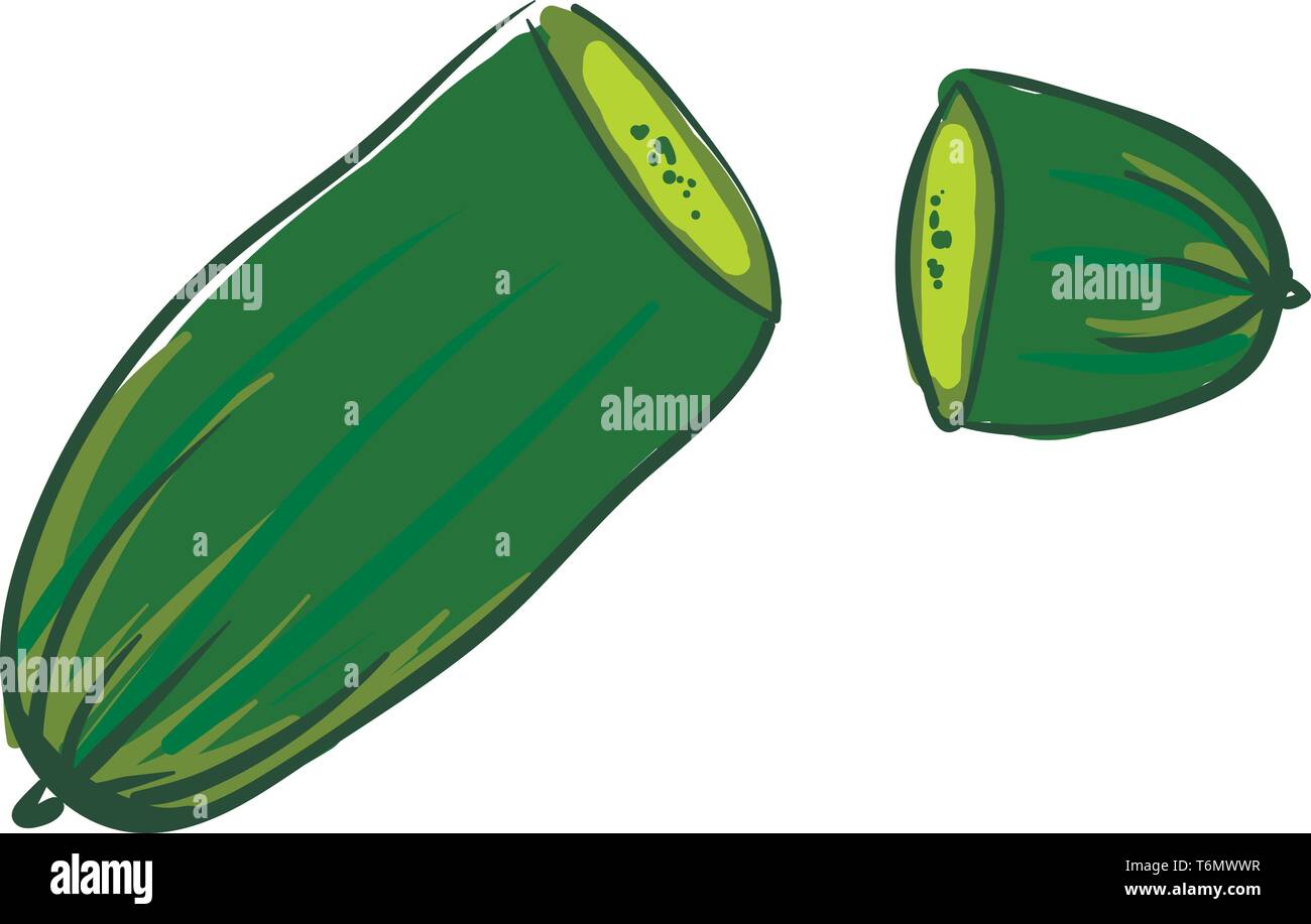 Tranches de concombre Illustration de Vecteur