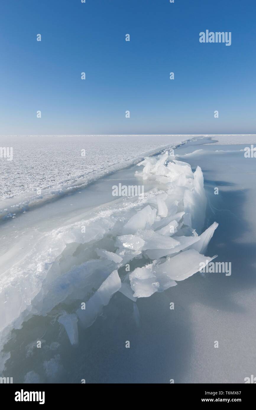 Les glaces au large de la côte de l'île de Vormsi, Estonie Banque D'Images