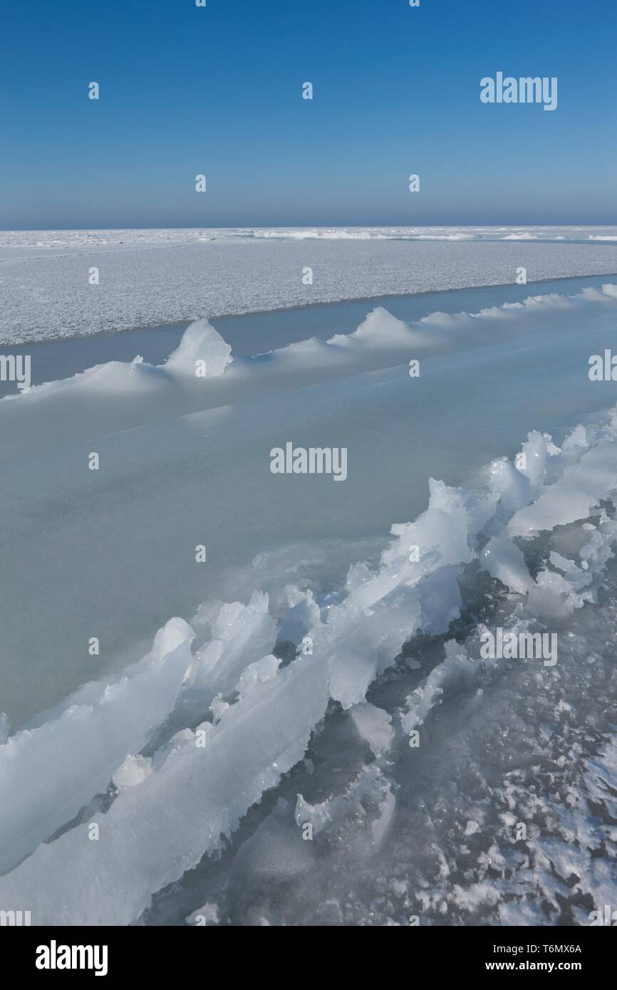 Les glaces au large de la côte de l'île de Vormsi, Estonie Banque D'Images