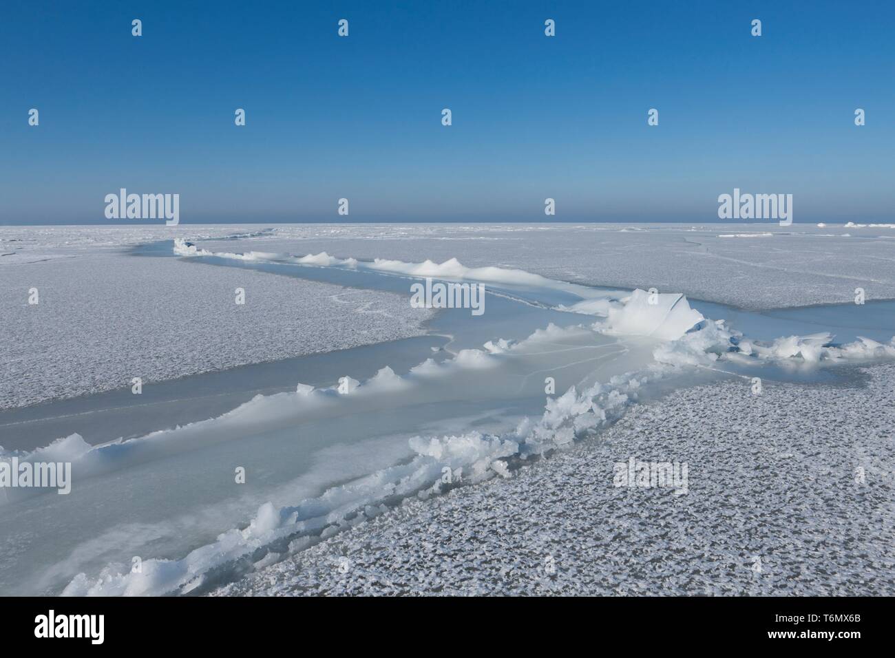 Les glaces au large de la côte de l'île de Vormsi, Estonie Banque D'Images