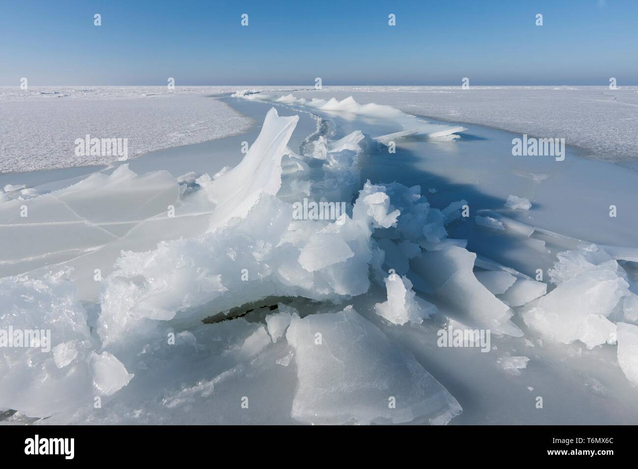 Les glaces au large de la côte de l'île de Vormsi, Estonie Banque D'Images