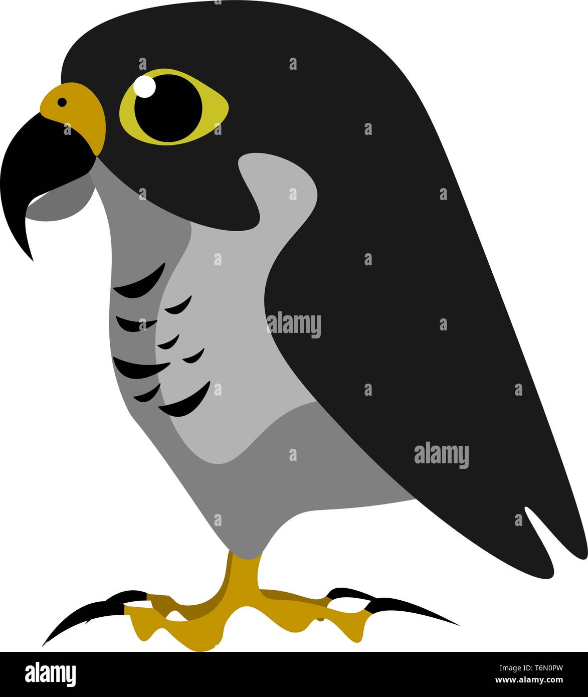 Un big fat falcon avec long bec et ongles pointus vector dessin en couleur ou de l'illustration Illustration de Vecteur