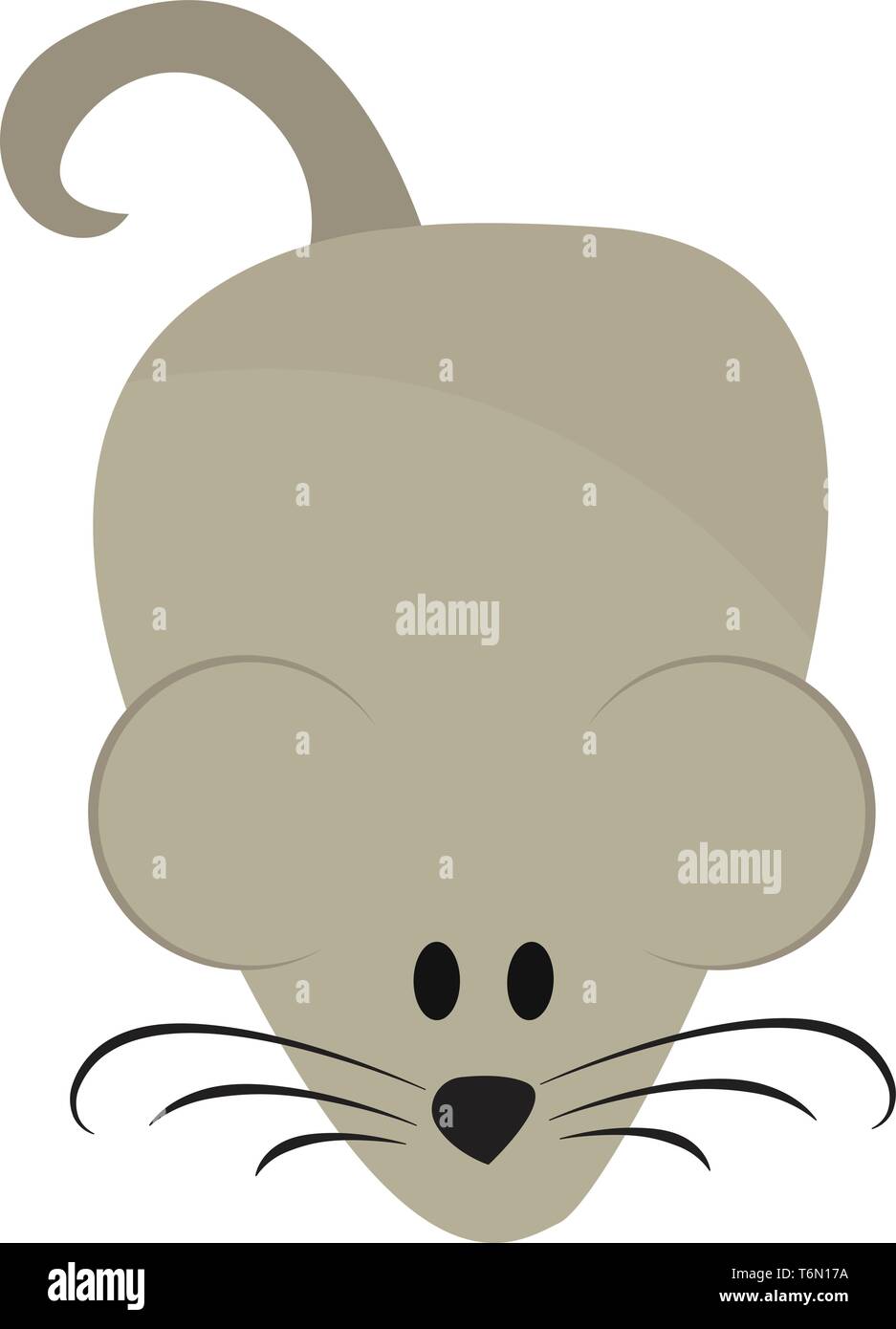 Cartoon gris souris couché sur la surface avec les yeux a un museau pointu nez noir de grandes oreilles et une longue queue noire vector dessin en couleur ou illustr Illustration de Vecteur