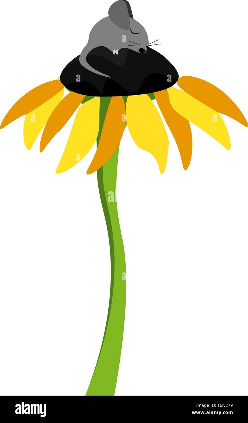 De Clipart une mignonne petite souris noir dormant sur le disque floral d'une haute plante de tournesol avec une longue tige verte mince de couleur ou de dessin vectoriel j Illustration de Vecteur