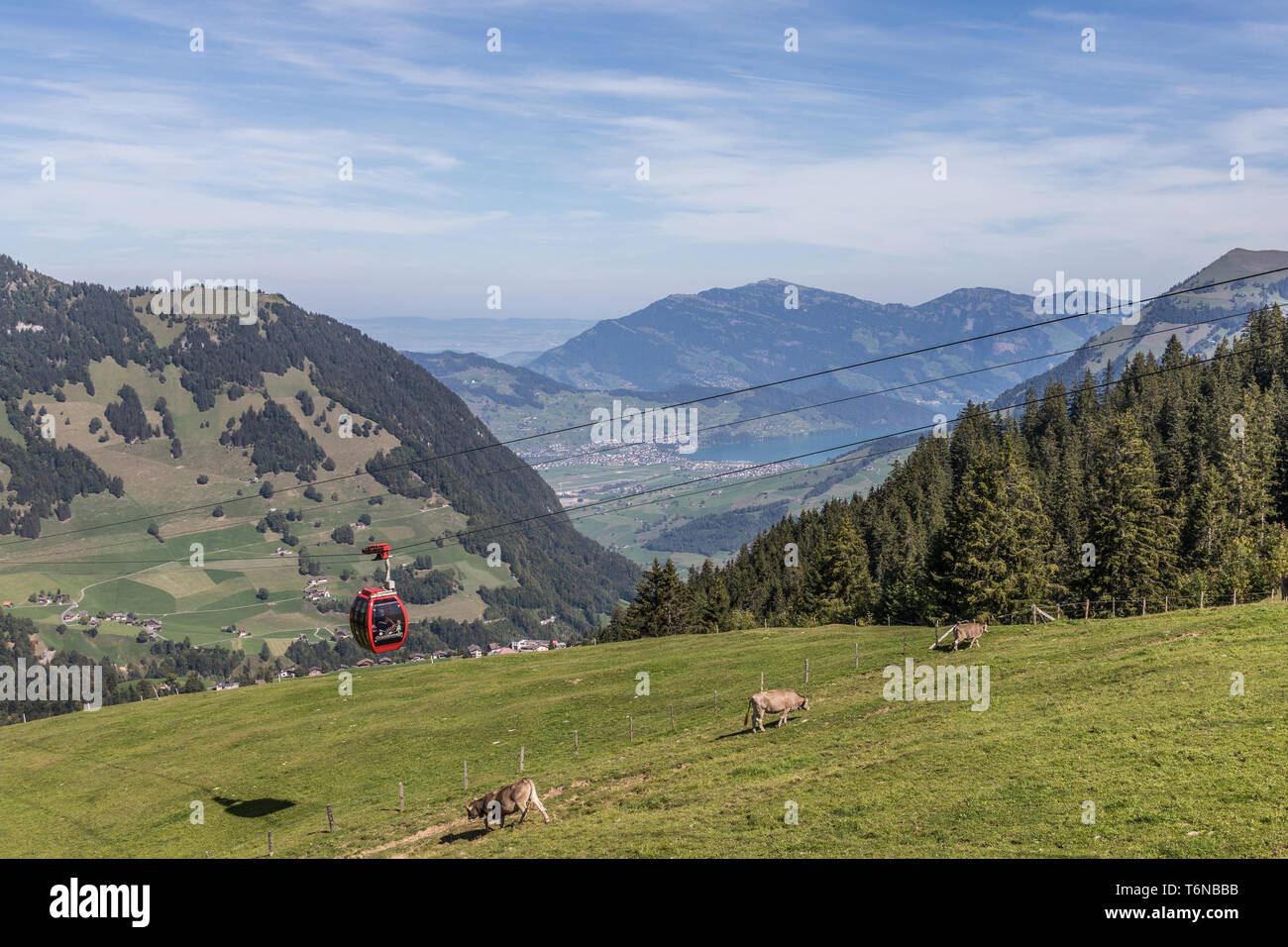 Le téléphérique aérien Gummenalp, Zurich, Switzerland, Europe Banque D'Images