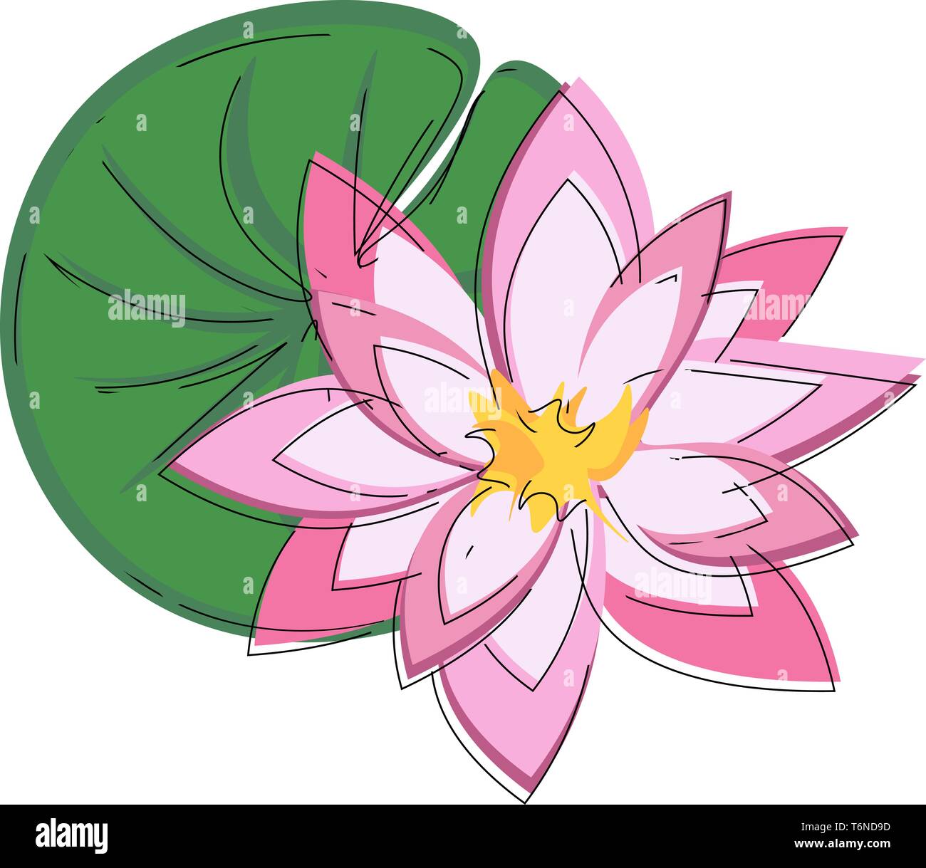 Un magnifique nénuphar rose avec une grande feuille verte flottant sur l'eau vector dessin en couleur ou de l'illustration Illustration de Vecteur