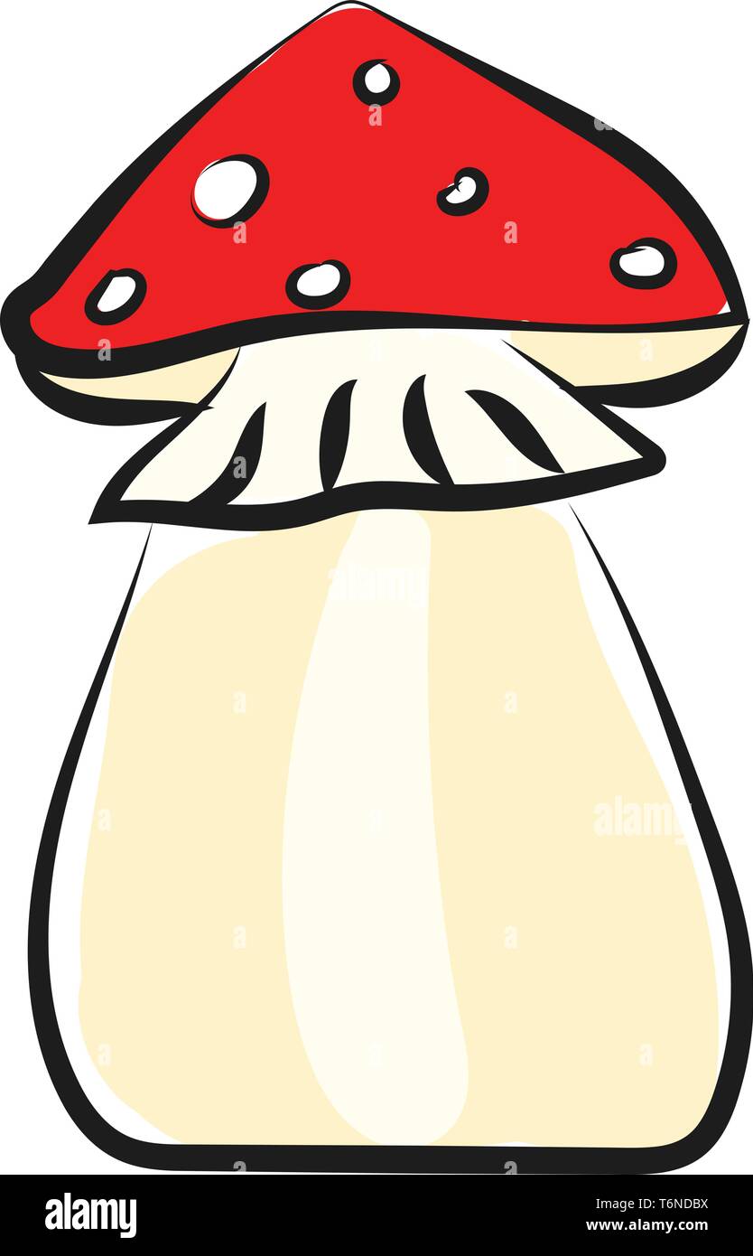 Un champignon comestible avec un bouchon orange rose branchies et noir voile partiel vector dessin en couleur ou de l'illustration Illustration de Vecteur