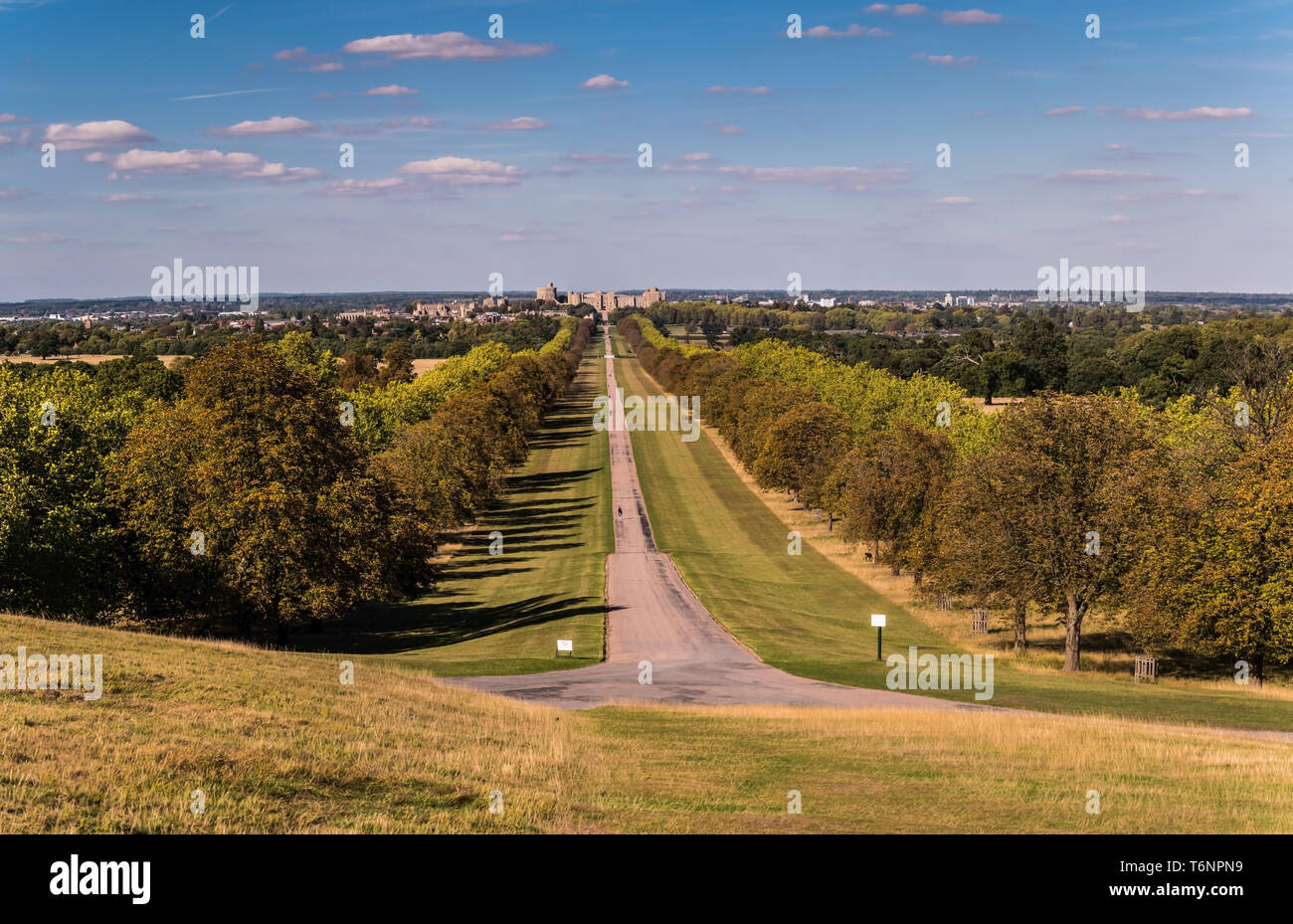 Windsor Great Park - La Longue Marche Banque D'Images