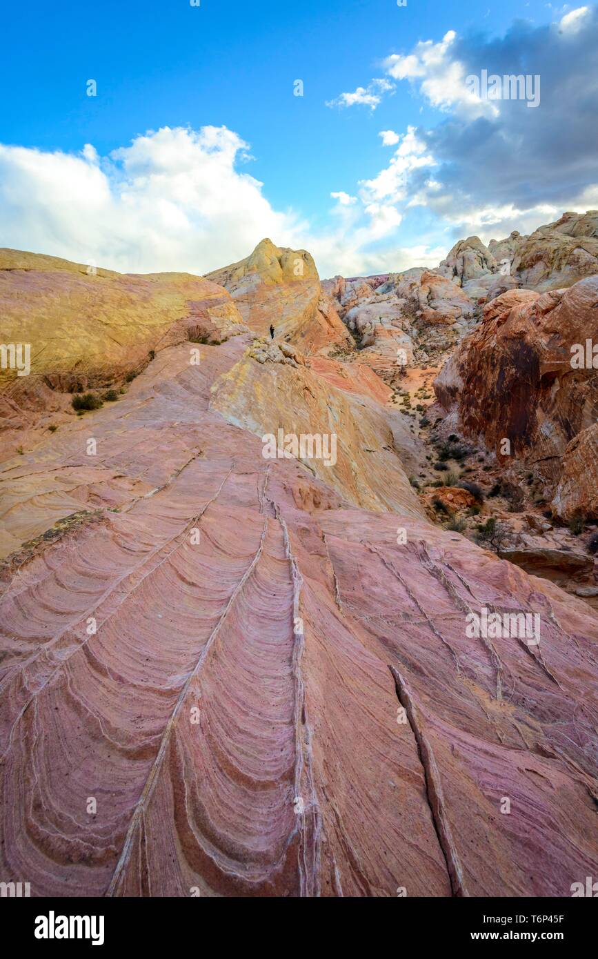 Colorée, Rouge Orange Rock Formations, Grès Rock, sentier de randonnée, Sentier Dôme blanc, Vallée de Feu, le parc désert de Mojave, Nevada, USA Banque D'Images