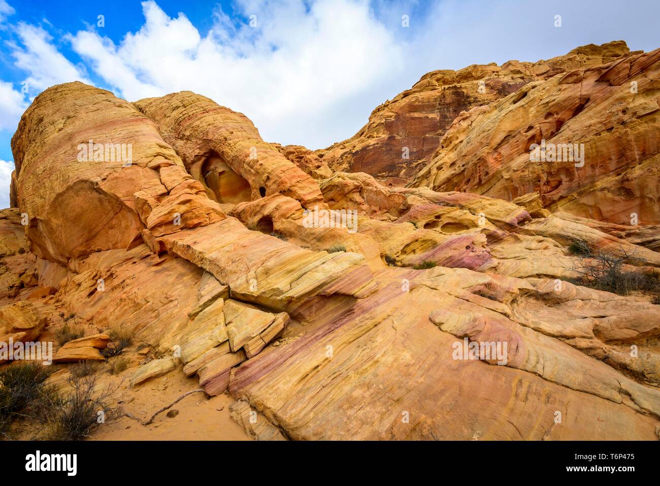 Rainbow Vista, des rochers de grès jaune rouge, désert de Mojave, formation de grès, Vallée de Feu Park, Nevada, USA Banque D'Images