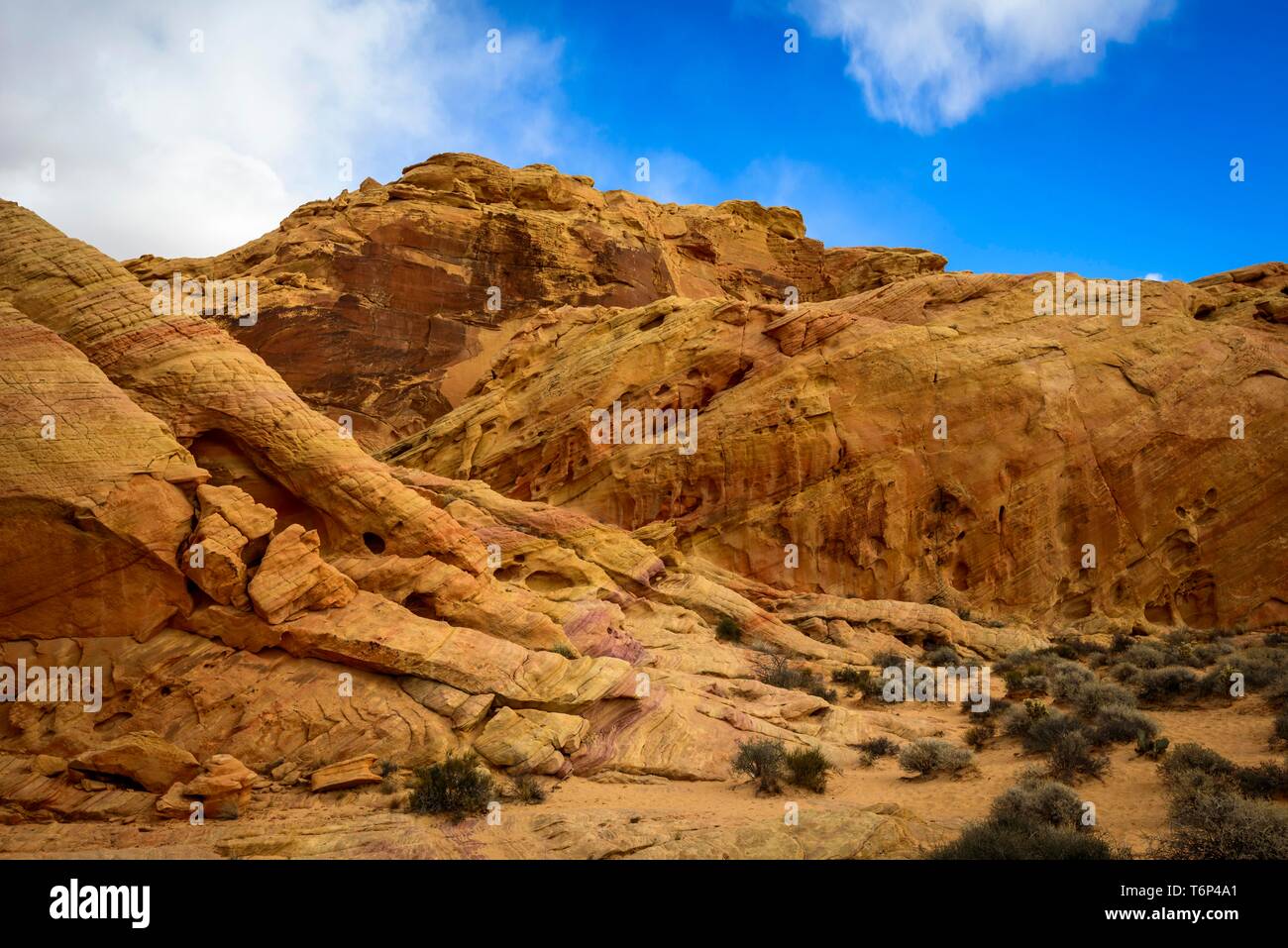 Rainbow Vista, des rochers de grès rouge, désert de Mojave, formation de grès, Vallée de Feu Park, Nevada, USA Banque D'Images