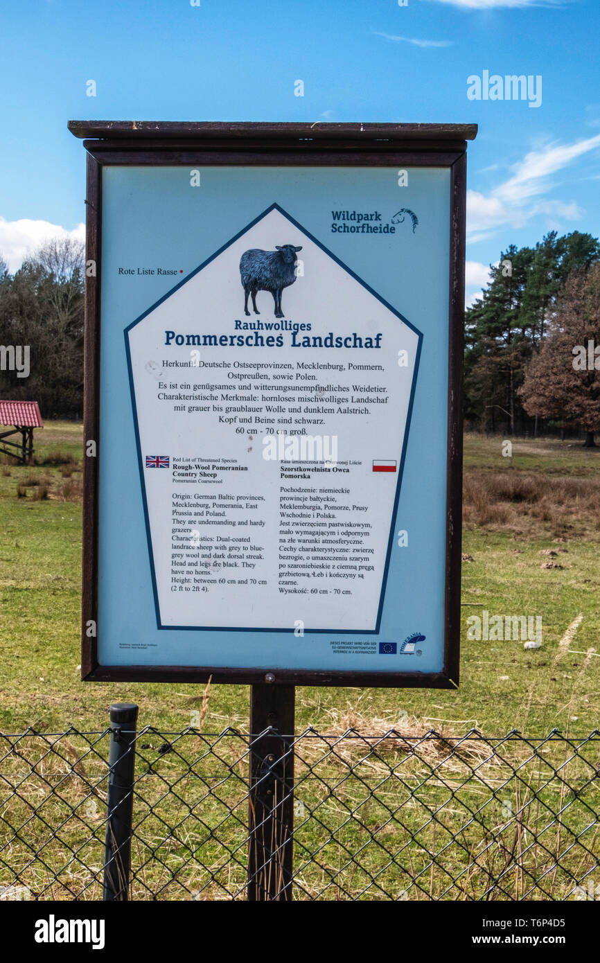 Information board - laine rugueuse Pays Pomeranian mouton à la Schorfheide Réserve De Chasse, dans le Brandebourg, en Allemagne. Banque D'Images