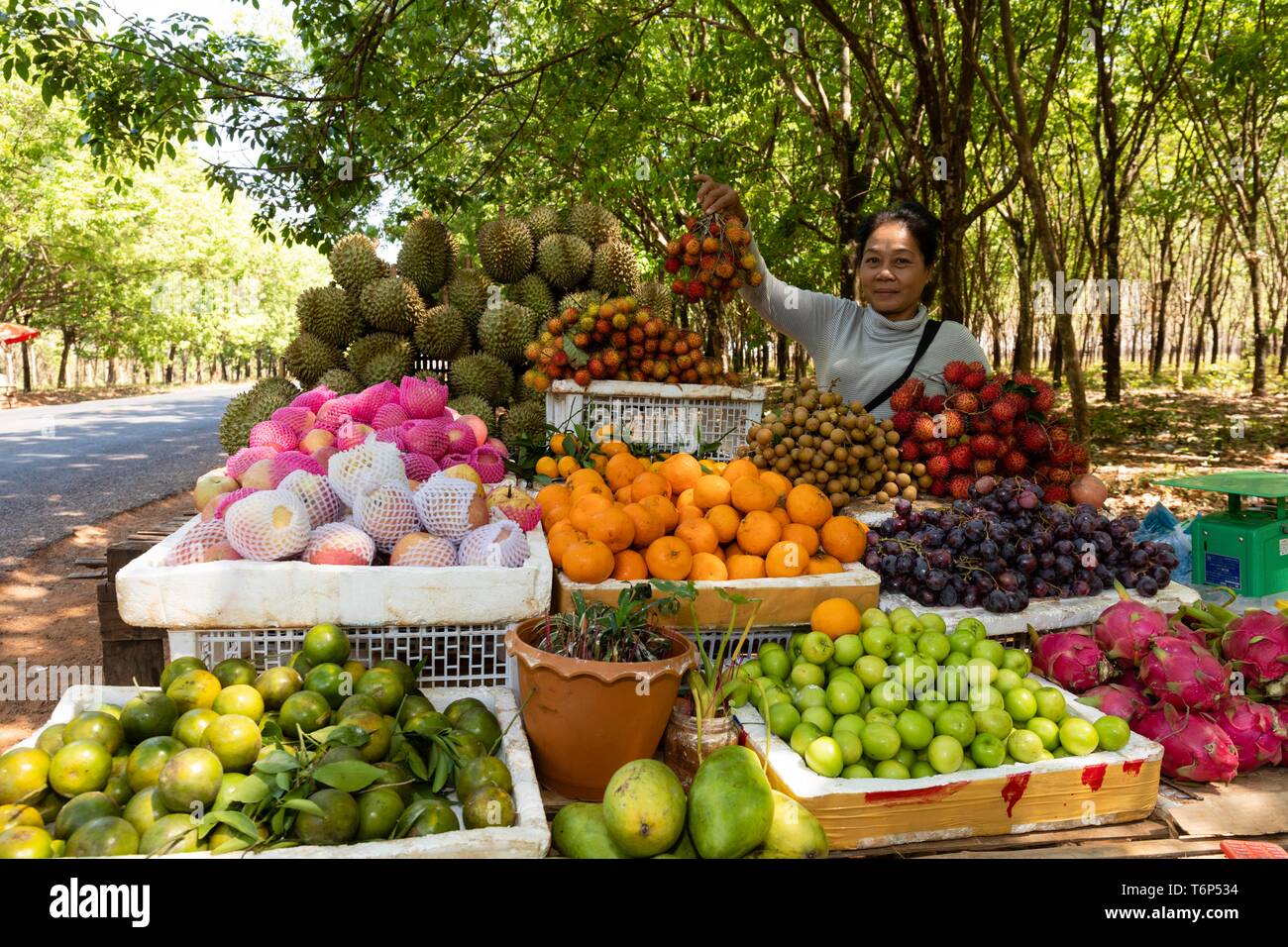 Vendeur de fruits sur la Route Nationale 7 près de Memot, Durian, plantations de caoutchouc, Tboung Khmum Province, Cambodge Banque D'Images