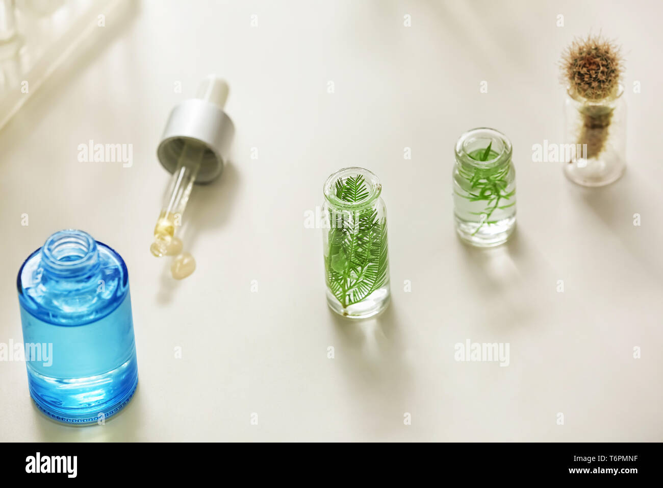 Petites bouteilles avec des plantes en laboratoire sur la table Banque D'Images