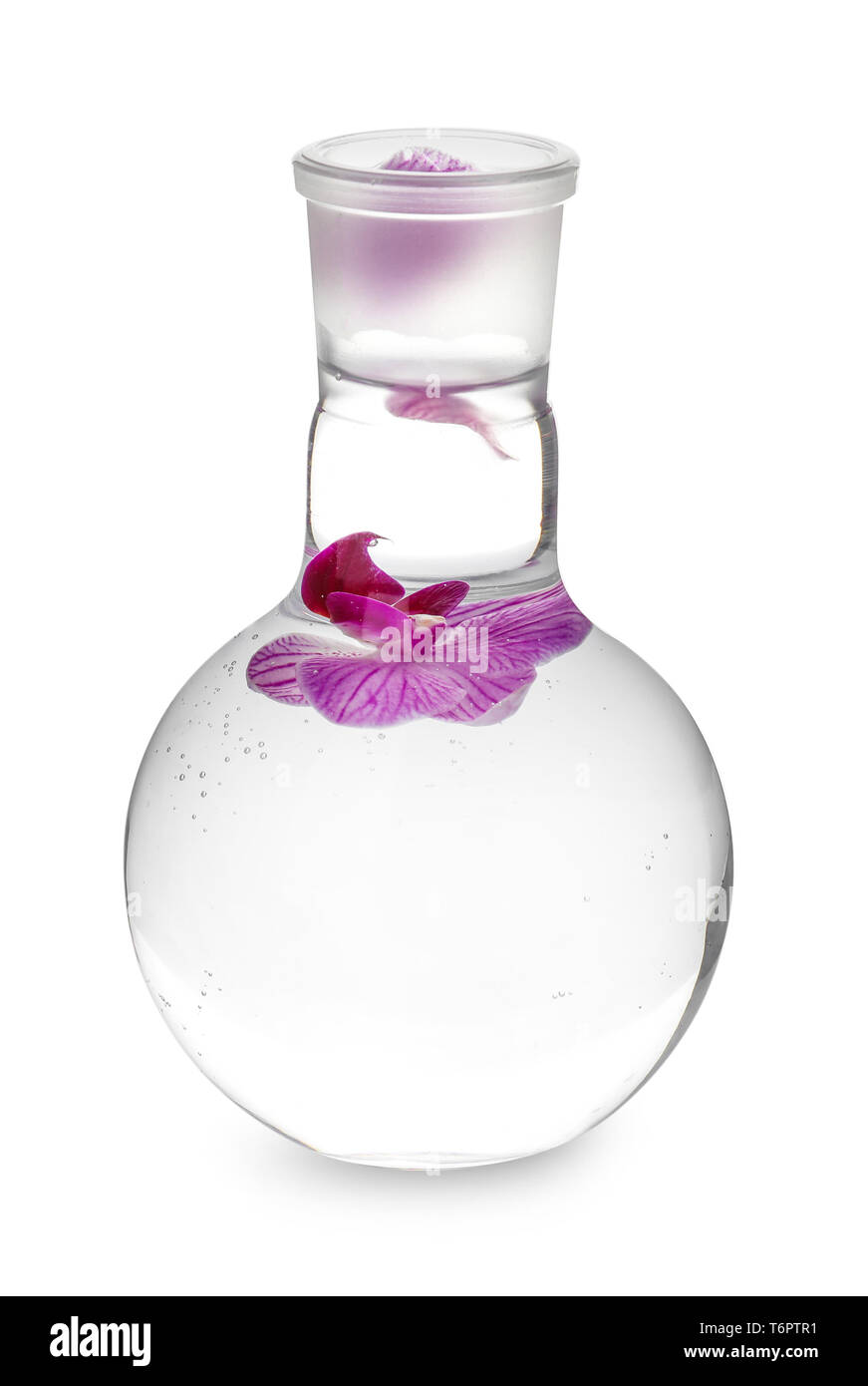 Flacon en verre avec fleur sur fond blanc Banque D'Images