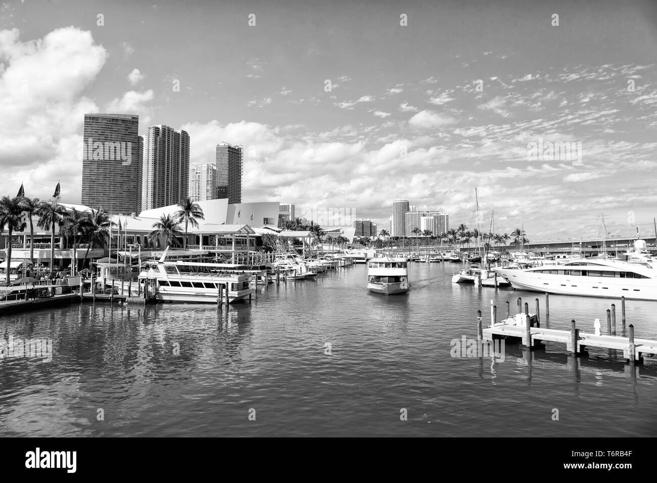 Miami, USA - 29 Février 2016 Ville : port ou port avec de hauts bâtiments et jetées avec les navires les navires sur la surface de l'eau de mer ou le droit d'amarrage sur journée ensoleillée sur ciel bleu Banque D'Images
