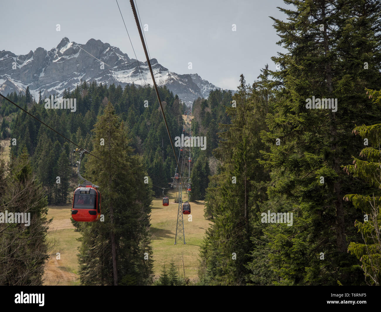 Alpes suisses de levage à câble vert des arbres autour de l'heure d'été Banque D'Images