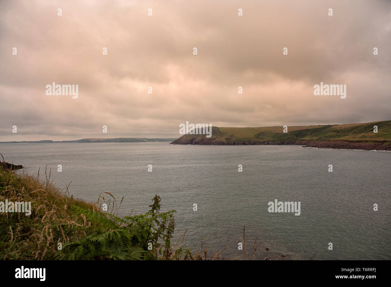 InWales Pembrokeshire Coast près de Tenby Banque D'Images