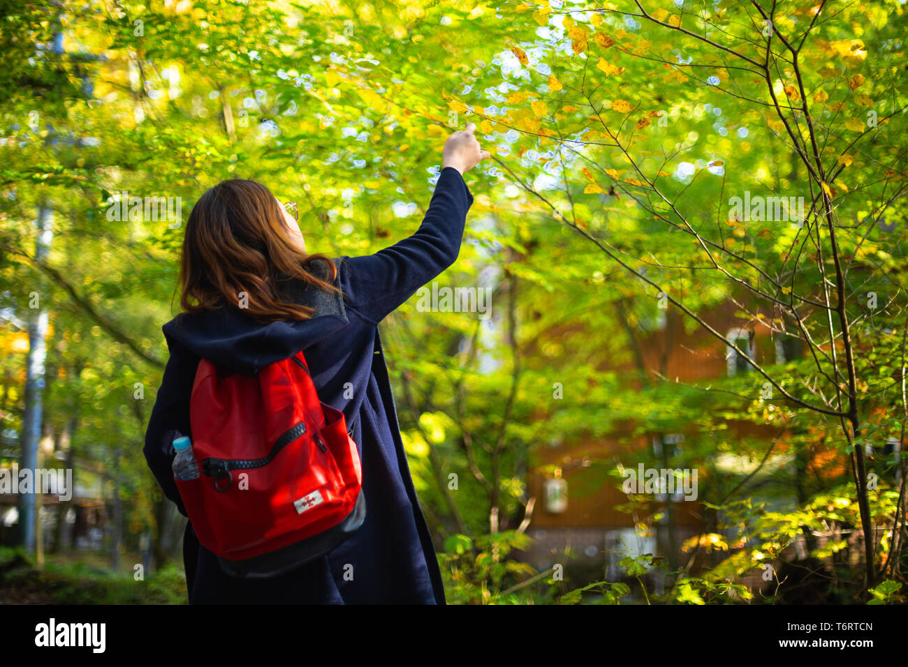 rouge sac à dos fille dans la forêt Banque D'Images