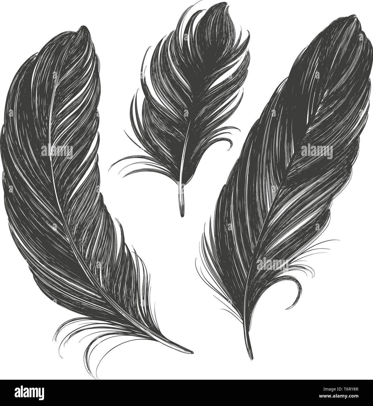 Jeu de plumes noires hand drawn vector illustration croquis réalistes Illustration de Vecteur