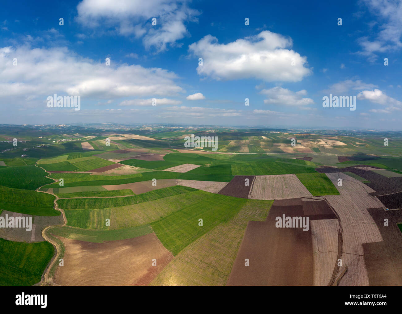 Vue aérienne de champs agricoles vallonné Banque D'Images