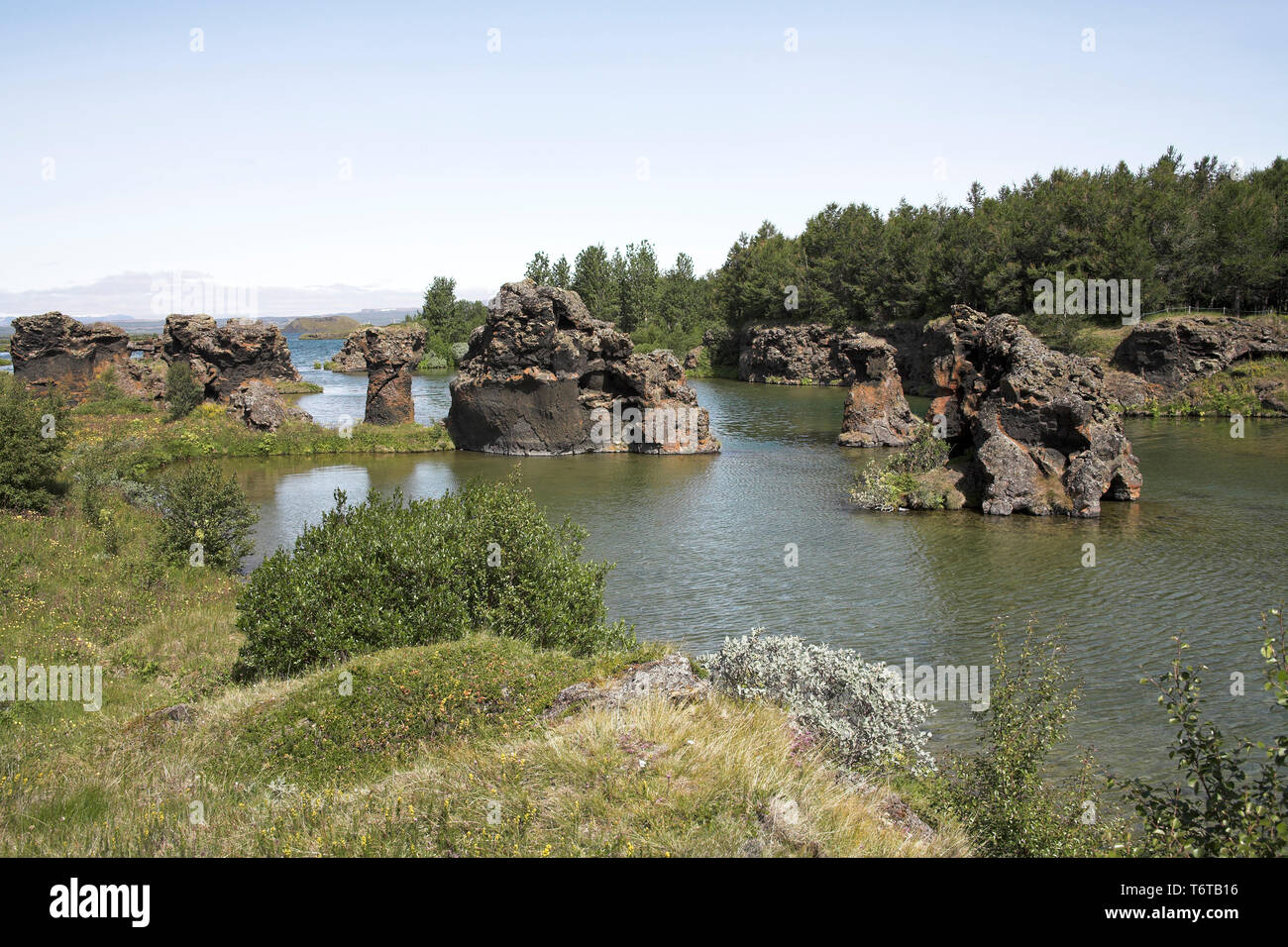 Les affleurements de roches volcaniques dans la baie de Reykjavik Islande Juillet 2009 Banque D'Images