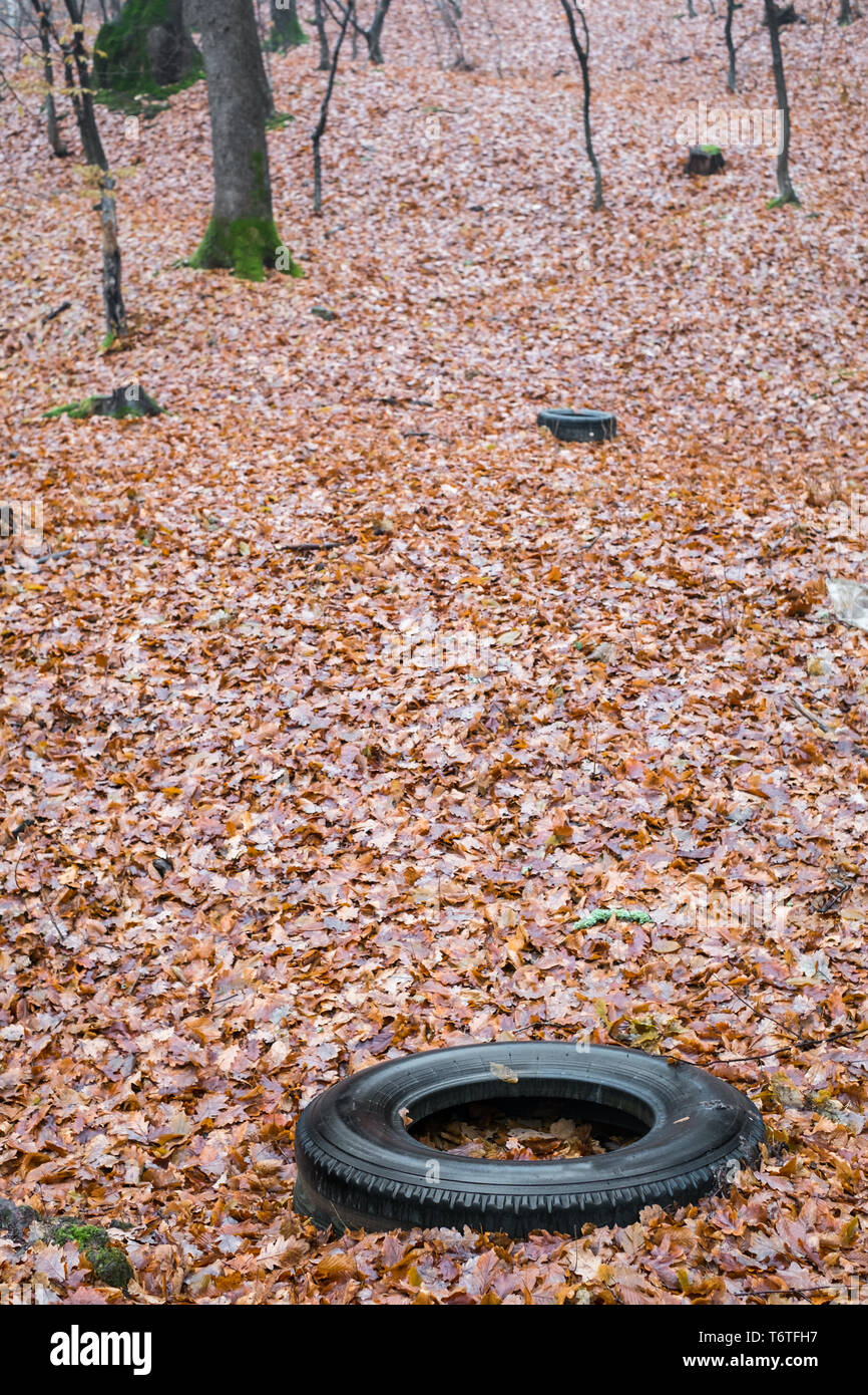 Vieux pneus automobile jeté dans une forêt d'automne, la pollution de l'environnement Banque D'Images