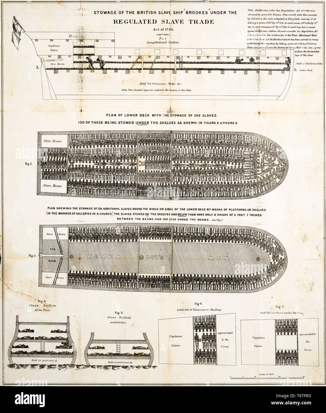 L'arrimage d'esclaves diagramme de la British navire négrier Brookes en vertu de la Loi sur la réglementation des esclaves de 1788, 1788 Banque D'Images