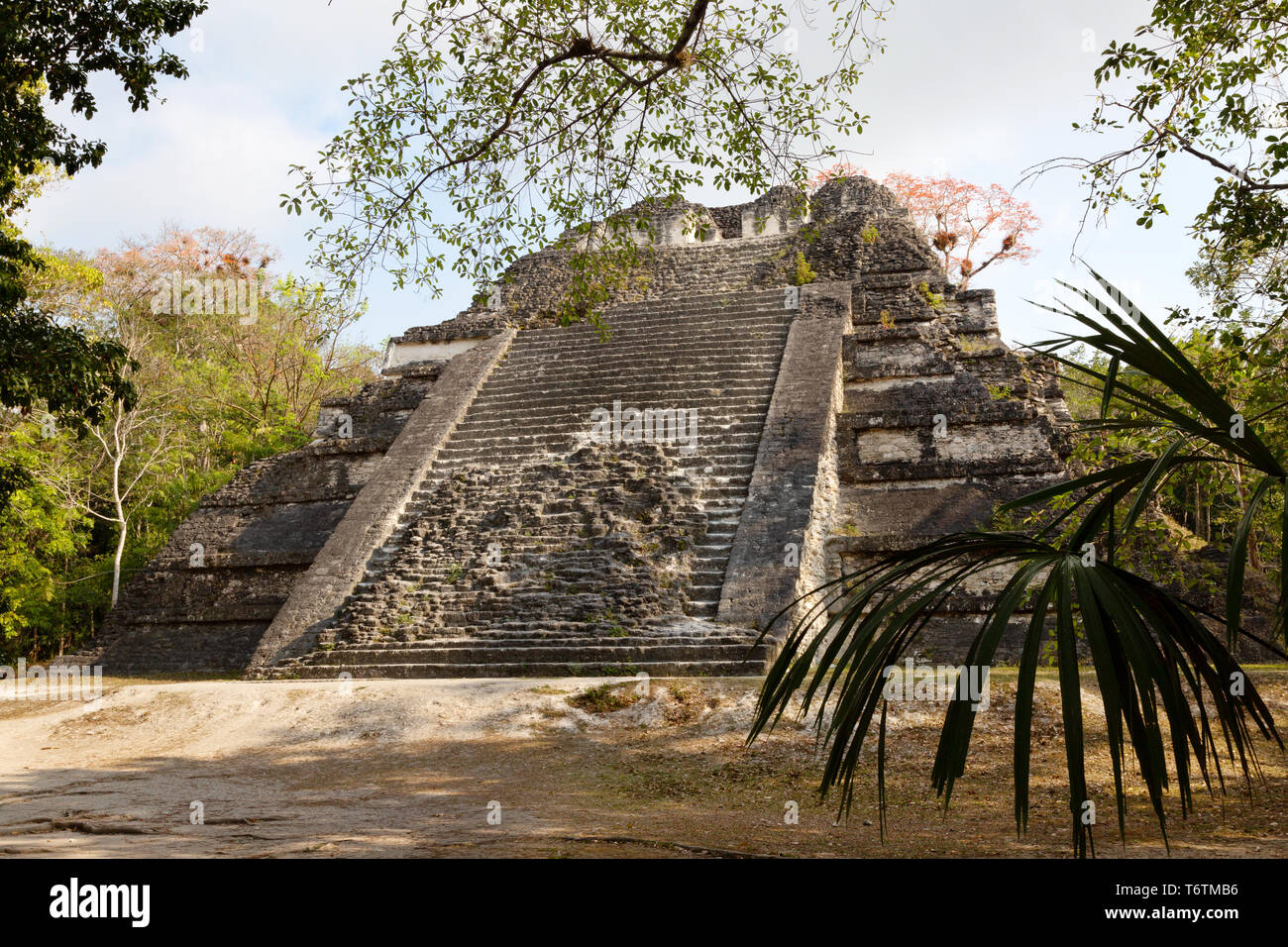 Guatemala Tikal temple, Mundo Perdido ou Le Monde Perdu temple, le parc national de Tikal ruines Maya site du patrimoine mondial de l'Amérique centrale, Guatemala Banque D'Images