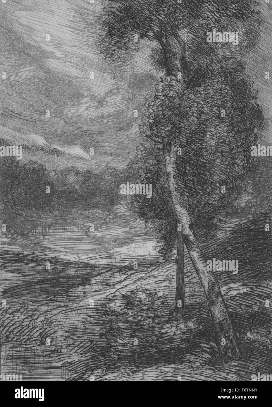 Gravure en noir et blanc, représentant un bouleau avec un tronc courbe à droite au premier plan, et un paysage avec plus d'arbres et visible à l'arrière-plan, intitulé "Un bouleau" (bouleau), numérotés et signés par l'illustrateur Félix Bracquemond, 1867. À partir de la Bibliothèque publique de New York. () Banque D'Images