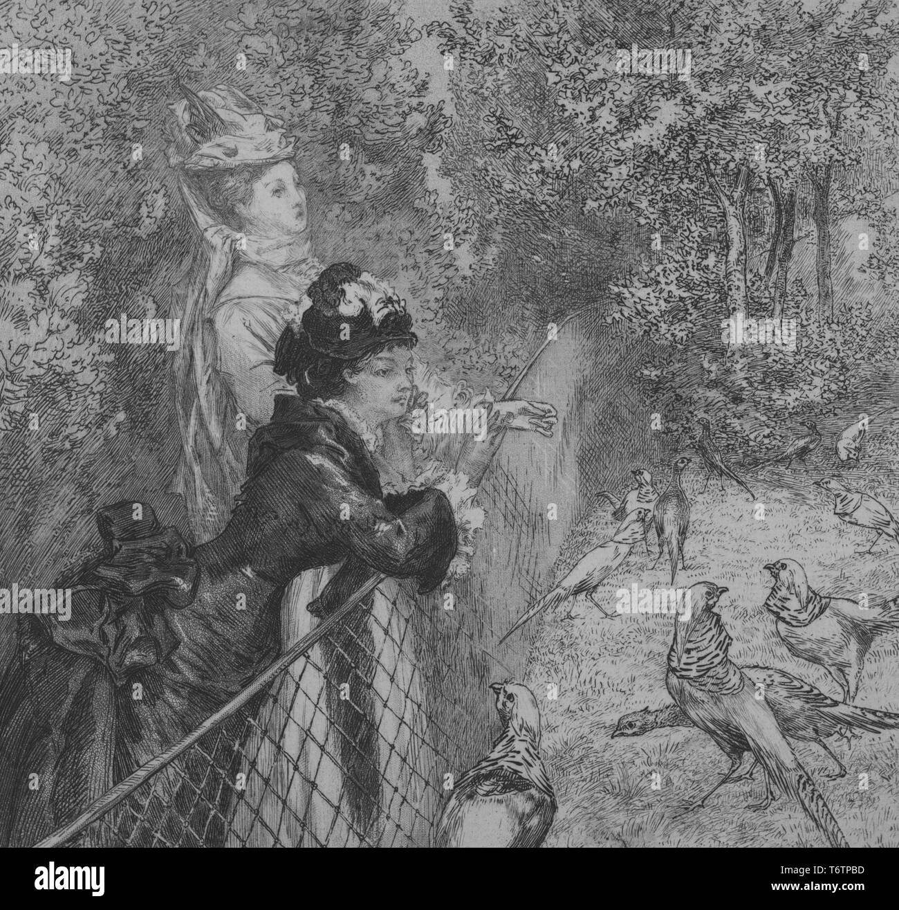 Gravure noir et blanc représentant deux femmes, portant des robes victoriennes et de chapeaux, debout dans un parc et s'appuyant sur un grillage, avec les faisans sur le côté opposé de la clôture ; situé dans le jardin d'Acclimatation, un parc d'amusement dans le Bois de Boulogne, un grand parc public à Paris, France ; titre 'Au jardin d'acclimatation (deuxième planche)' (dans le jardin d'Acclimatation - deuxième chambre) ; signé par l'illustrateur Félix Bracquemond, 1867. À partir de la Bibliothèque publique de New York. () Banque D'Images