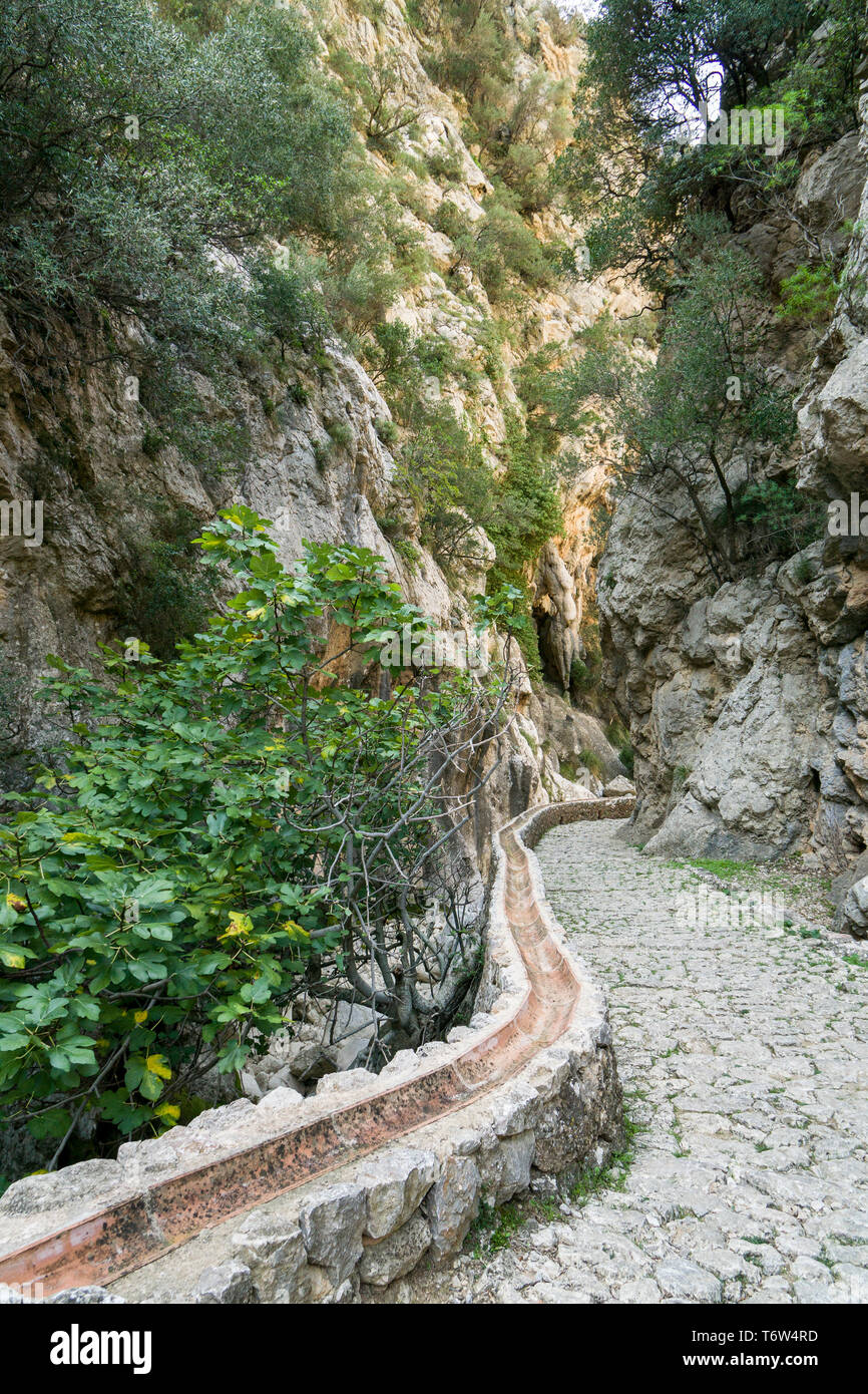 Sur le GR 221. La longue distance chemin sur la Serra de Tramuntana, aussi appelée route de la pierre sèche, dans West-Mallorca, Espagne Banque D'Images