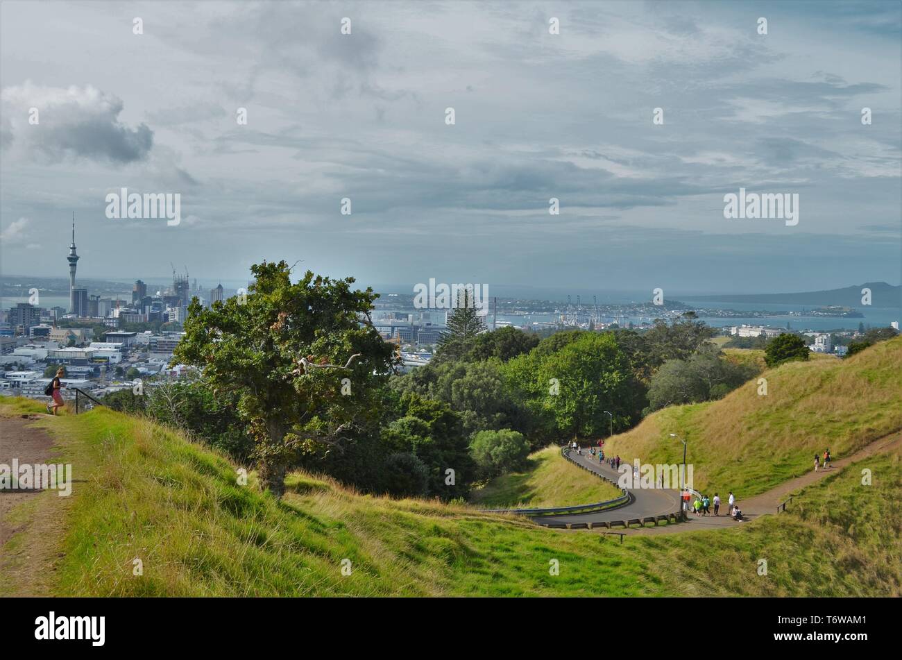Vue sur le mont Eden Hill, de beaux paysages de la Nouvelle-Zélande Banque D'Images