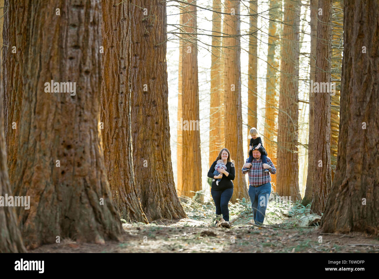 Famille de quatre marche à travers la forêt. Banque D'Images