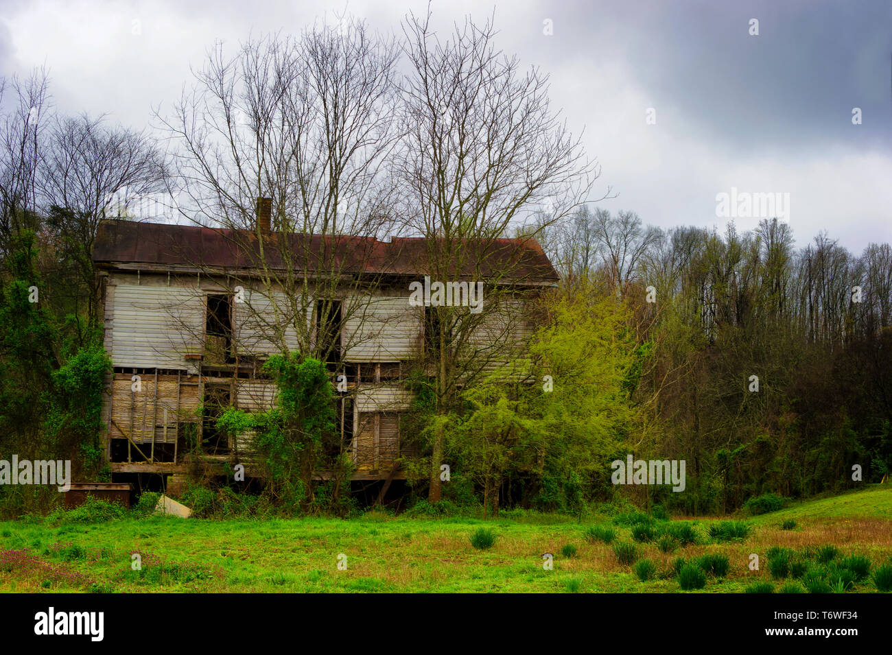 Dans les régions rurales de l'est Tennessee sous ciel nuageux ciel printemps définir un bâtiment abandonné envahi par la flore. Banque D'Images