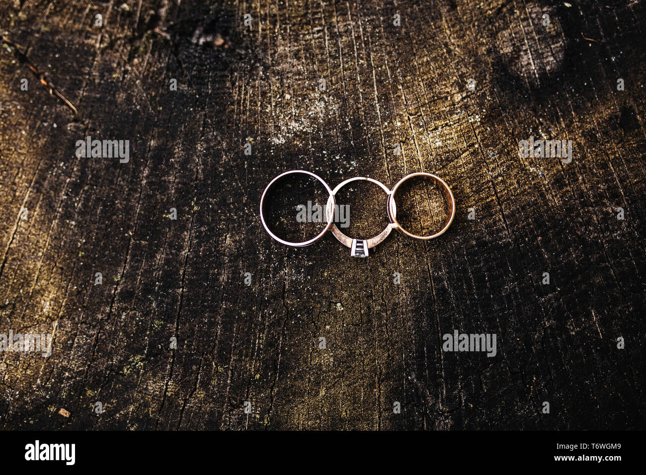 Belle De Mariage Se Trouvent Sur La Surface En Bois Contre L Arriere Plan Declaration D Amour Au Printemps Carte De Mariage La Saint Valentin Message D Accueil Les Anneaux De Mariage Photo Stock Alamy