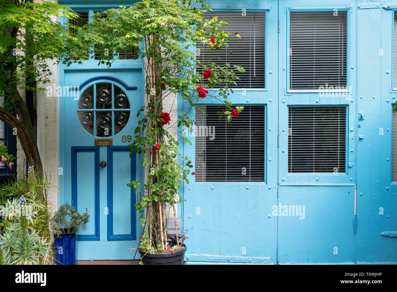 Maison Bleue et roses rouges à Bathurst Mews, domaine de Hyde Park, Bayswater, London, England Banque D'Images