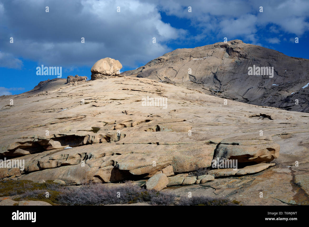 Le rocher de la tortue dans Bektau-Ata plateau en pierre, Kazakhstan Banque D'Images