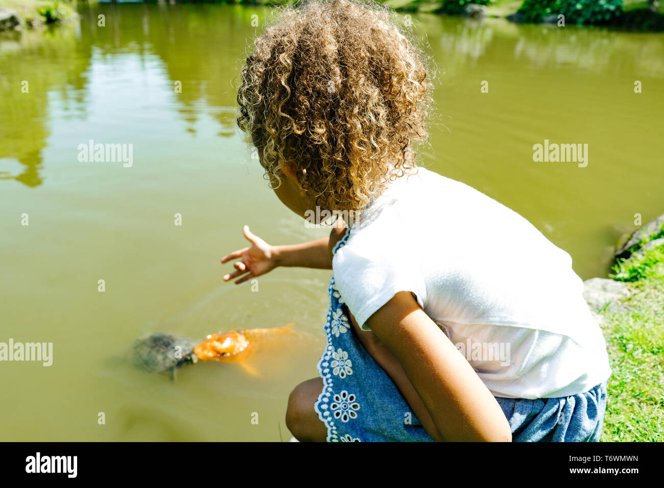 Une jeune fille atteint vers une tortue et un poisson dans un parc public Banque D'Images