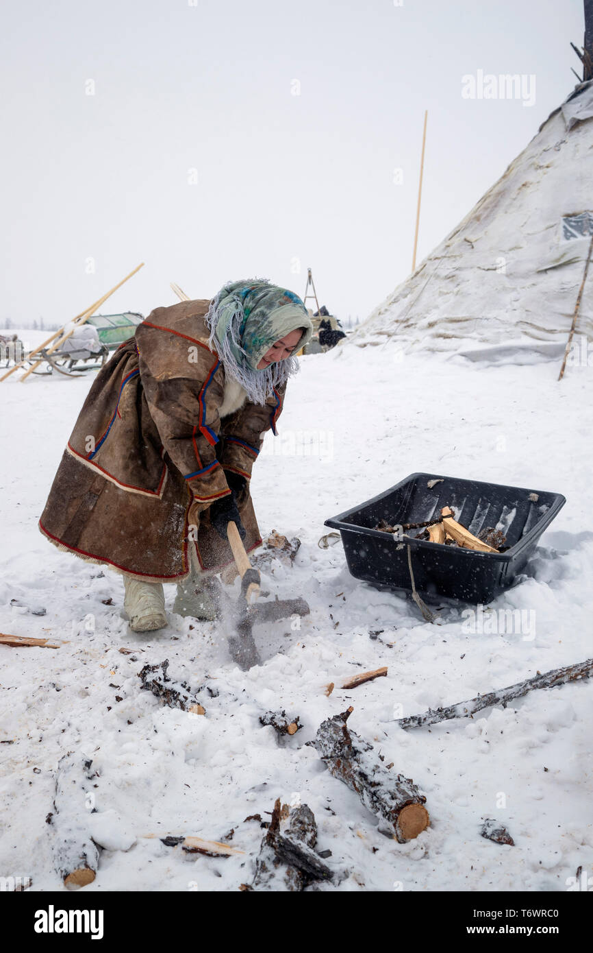 La Russie, dans la région autonome de Yamal-Nenets, péninsule de Yamal Nenets, les éleveurs de rennes au camp Banque D'Images La Russie, dans la région autonome de Yamal-Nenets, péninsule de Yamal Nenets, les éleveurs de rennes au camp Banque D'Images