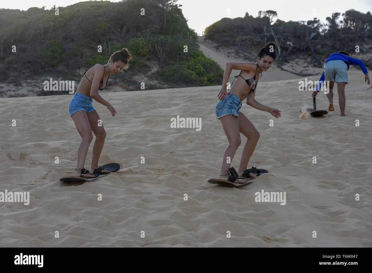 Pipa, Brésil - 23 janvier 2019 : les touristes Sandboarding sur une dune près de Pipa sur le Brésil Banque D'Images