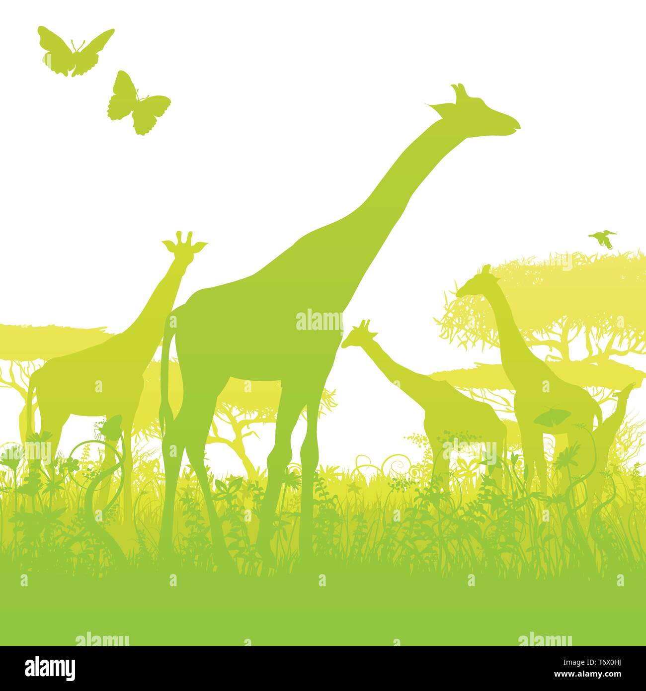 Les Girafes sauvages dans une forêt en Afrique Illustration de Vecteur