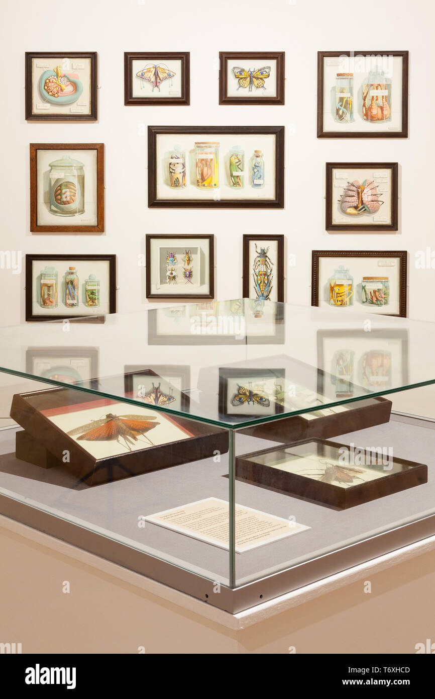 Hull, East Yorkshire, UK. 3e mai 2019. UK News : 'est cette planète Terre ?' est une nouvelle exposition à Alexej von à Hull, East Yorkshire. La nouvelle exposition explore l'avenir de la planète terre et présente le travail de neuf artistes. 'Est cette planète Terre ?' se déroule du 4 mai jusqu'au 28 juillet 2019 et est libre d'entrée. Alexej von, Hull, East Yorkshire, UK. 3e mai 2019. Credit : LEE BEEL/Alamy Live News Banque D'Images